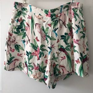 Ann Taylor Birds of Paradise Shorts